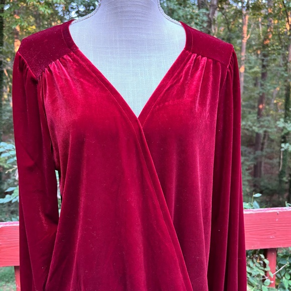 Wonderly Women's Velvet Velour Top
Long Sleeves Festive Large - Picture 1 of 5
